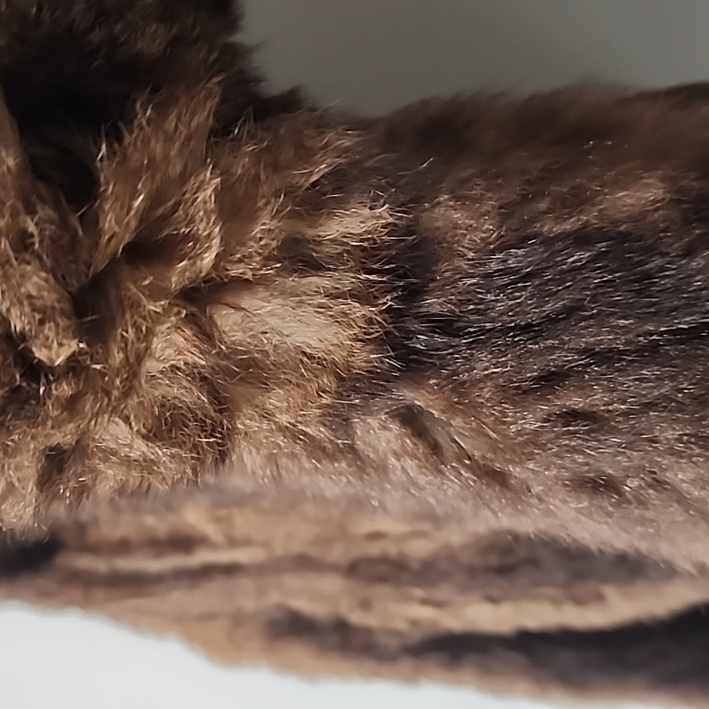 VINTAGE 1950's Possum Fur Coat S Small Jacket Austria Germany Mobwife Quiet Luxe - Picture 16 of 17